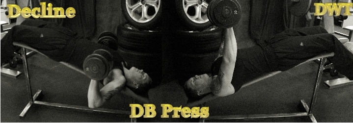 Intermediate decline dumbbell press