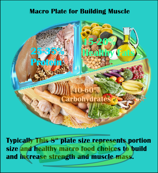 macro diet plan to gain muscle