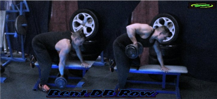 Alternating Dumbbell Rows