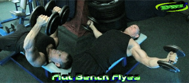 Flat bench DB flyes