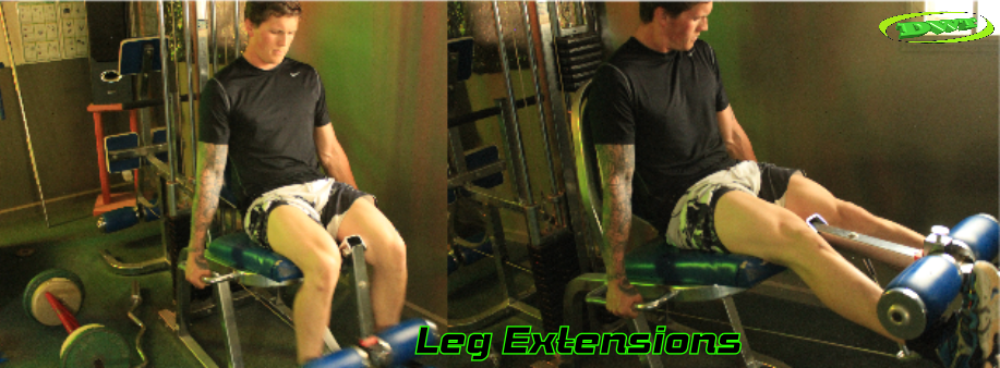 Beginners leg extensions