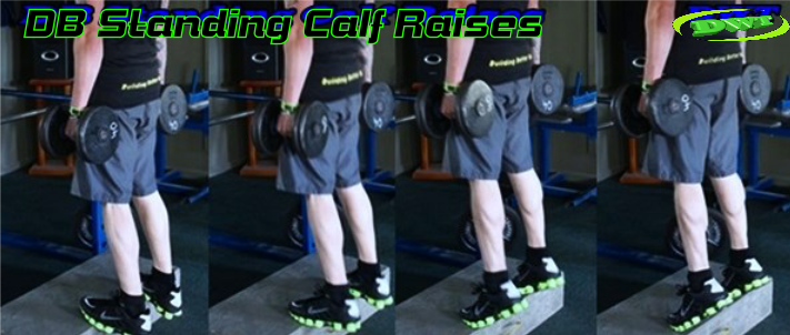 Dumbbell calf raises