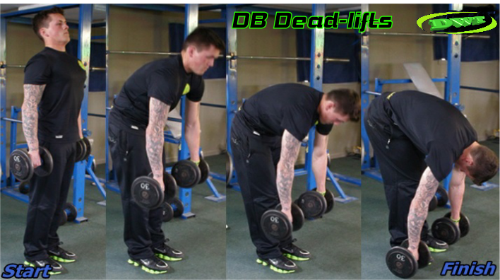 DB stiff legged deadlifts