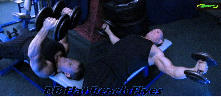 Flat Dumbbell Flyes