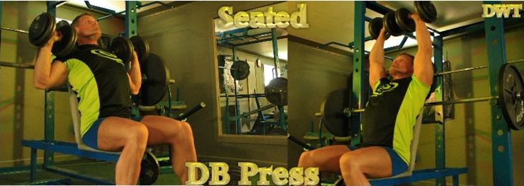 Intermediate seated dumbbell press