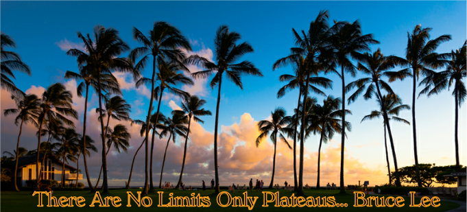 No limits only Plateaus